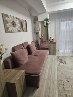 Airport apartment - Sibiu - 8