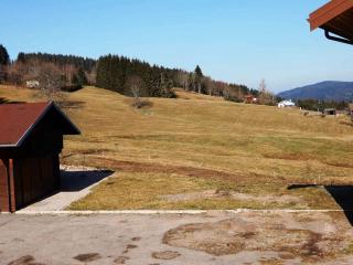 Chalet des FURETS - Xonrupt-Longemer - 6