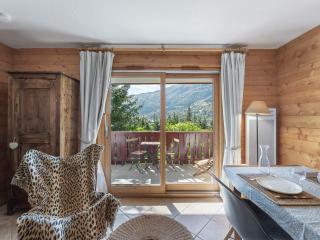 Appartement lumineux avec terrasse, à 250m des pistes et proche commerces - FR-1-566-64 - 3
