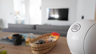 Habari Pleasure - Almendralejo - 2