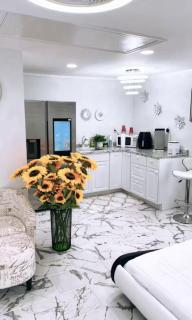 Studio guest house - 1