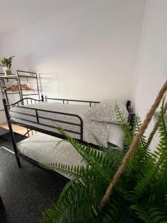 Green House Pra - Casa Vacanza - 2