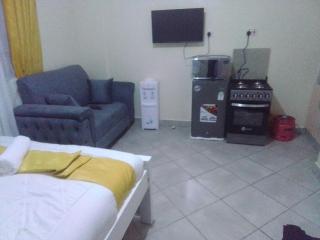 Nestle park apartment - Nairobi - 0