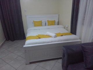 Nestle park apartment - Nairobi - 4
