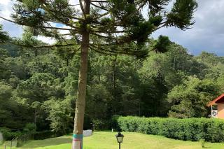Linda residência em Campos do Jordão - SP - Campos do Jordão - 6