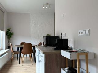 Prime Location 1BR Apartment Walk Everywhere - Eindhoven - 3