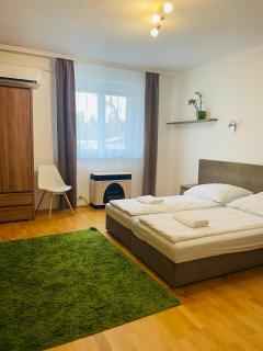 Weninger Studio Apartman - Kiskunhalas - 0