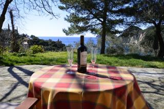 Anna Pension - Liapades - 6