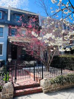 Amma's Place - Washington - 0