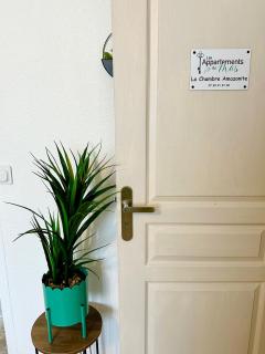 La Chambre Amazonite - Saint-Laurent-dʼAigouze - 6