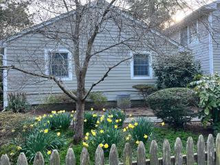 Oak avenue 33 - Rehoboth Beach - 0