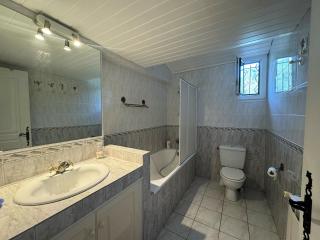 Provençal villa with pool - 1