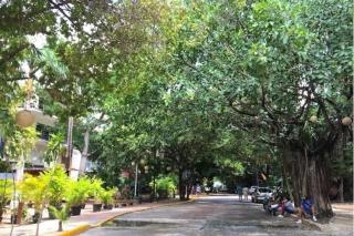 Charming 1 BR apartment near 5th Ave - LCondos 202 - 9