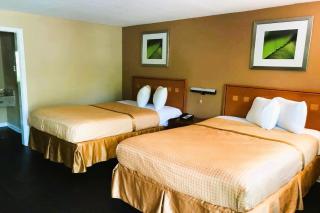 OYO Hotel Tallahassee Downtown - Tallahassee - 1