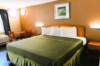 OYO Hotel Tallahassee Downtown - Tallahassee - 3