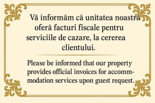 Craiova's City Centre Penthouse - Craiova - 4