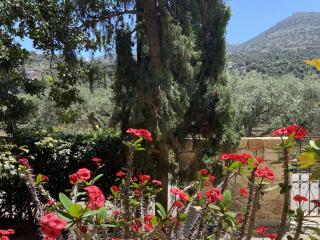 keronia house - Stalida - 6