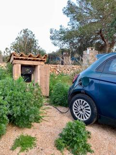 Blue Door Mallorca - Caʼs Concos - 9