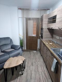 Studio Ștefan - Călimăneşti - 9