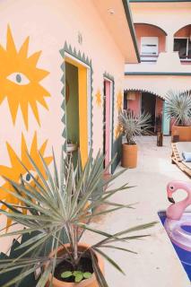 Pineapple Mansion - Paso Hondo - 6