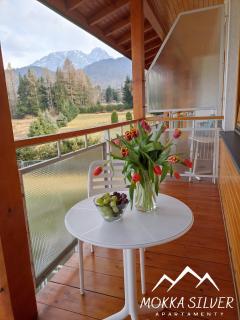 MOKKA SILVER Spa & Ski Apartamenty na Viva Maria - Zakopane - 8
