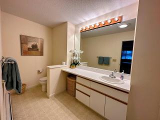 FV22 Great Location close to Bretton Woods Ski Area - 4
