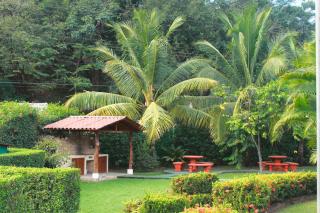 Samara Beach Las Palmeras Condo with Ocean view - 2