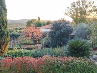 GiuMa Tuscany Historic Country House with Roof Terrace near Saturnia Spa - Montemerano - 8