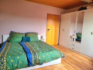 Gemütliche Ferienwohnung in Saarlouis-Fraulautern - Saarlouis - 6