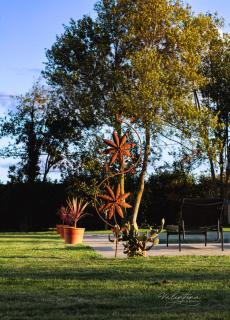 ARCADIA - SIROLO - 7