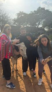 Mansouria Ranch - `Ezbet Lambo - 1