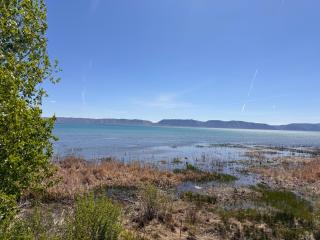 Bear Foot Beach House-Beautiful Views on the Lake - Garden City - 9