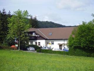 Gemütliche Wohnung In Altenbrak Inkl Terrasse - Thale - 9