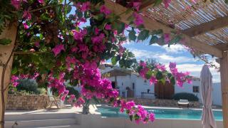La Casa del Aljibe - Los Díaz - 0