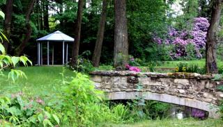Wohlfühloase Für Natur Und Gartenliebhaber - Walkenried - 9