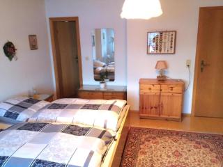 Wunderschöne Wohnung In Spiegelau - Spiegelau - 2