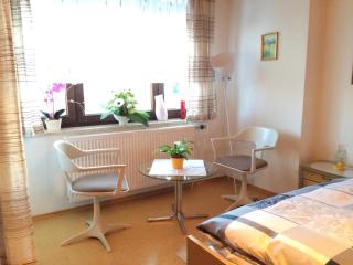 Wunderschöne Wohnung In Spiegelau - Spiegelau - 6