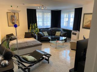 Exklusive Ferienwohnung mit Pool zum Schwimmen und massieren - Hausen - 1