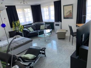 Exklusive Ferienwohnung mit Pool zum Schwimmen und massieren - Hausen - 4