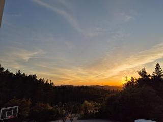 Slice of tranquility Outdoor hot bath and nature - Helensville - 3