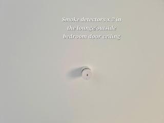 Slice of tranquility Outdoor hot bath and nature - Helensville - 2