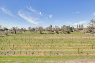 7-Acre Vineyard Idyllic Farmhouse in Napa! - 9
