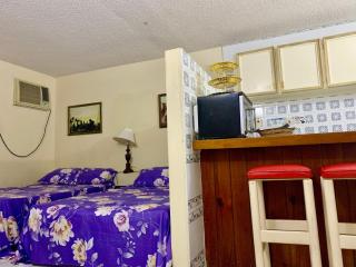 Garden Studio - Montego Bay - 0