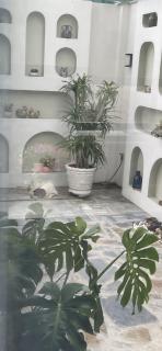 CBS Home Ngoại Ô Xanh - Ho Chi Minh - 2