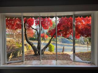 Little France Versailles - Allentown - 3