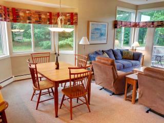 FV48 Modern home with AC within walking distance of golf course and Mt Washington Hotel - Carroll - 7