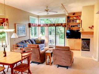 FV48 Modern home with AC within walking distance of golf course and Mt Washington Hotel - Carroll - 6