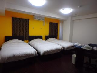 Ace Inn Asakusa - 1