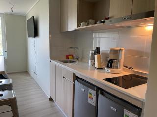 Modern Loft en Viña del Mar cerca de Valparaíso - Viña del Mar - 4