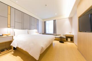JI Hotel Shanghai Lingang New City - - 3